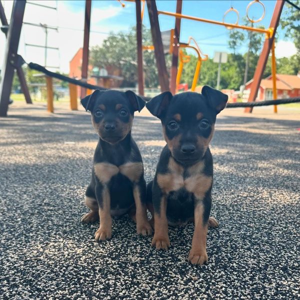 4411777362_4944574512